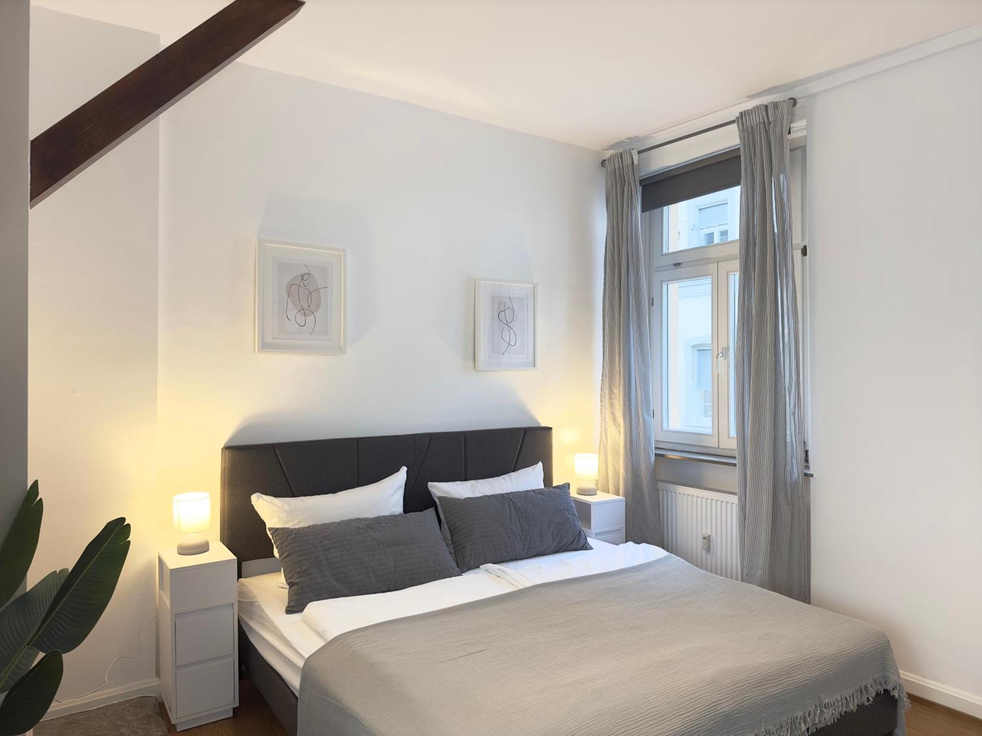 Luxury Old Town Suite - Xxl Terrasse & Xxl Penthouse ไฮเดลเบิร์ก ภายนอก รูปภาพ