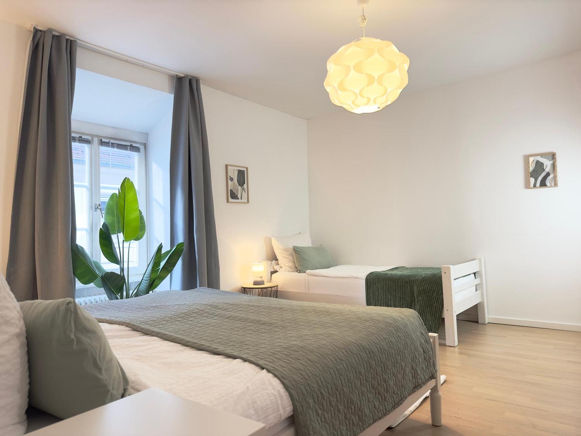 Luxury Old Town Suite - Xxl Terrasse & Xxl Penthouse ไฮเดลเบิร์ก ภายนอก รูปภาพ