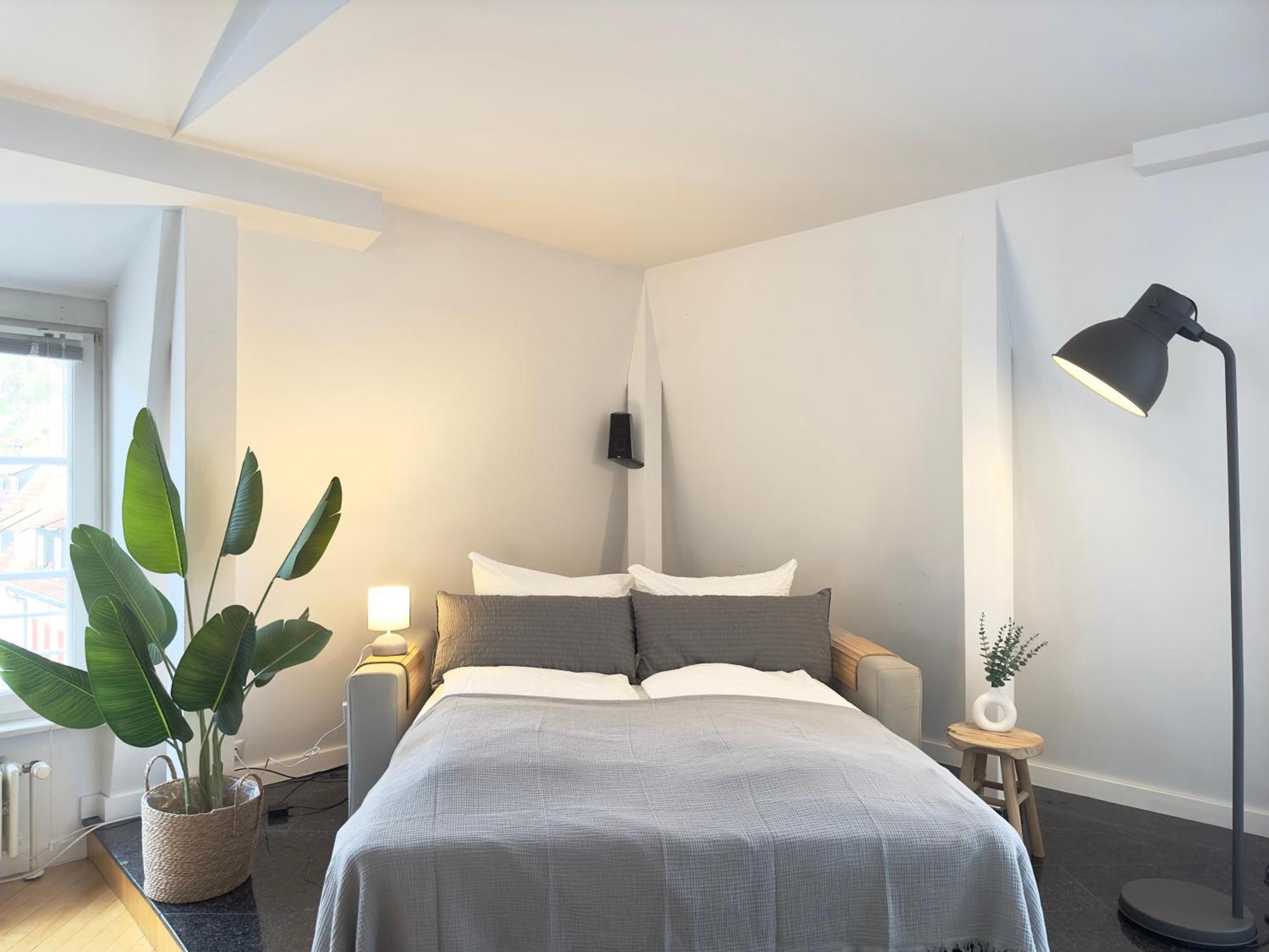 Luxury Old Town Suite - Xxl Terrasse & Xxl Penthouse ไฮเดลเบิร์ก ภายนอก รูปภาพ